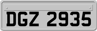 DGZ2935
