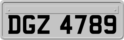 DGZ4789