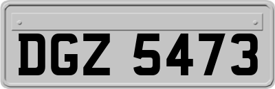 DGZ5473