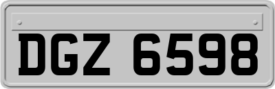 DGZ6598