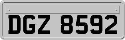 DGZ8592