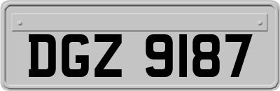DGZ9187