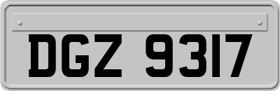 DGZ9317