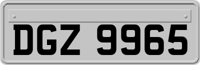 DGZ9965