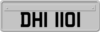 DHI1101