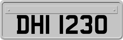 DHI1230