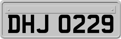 DHJ0229