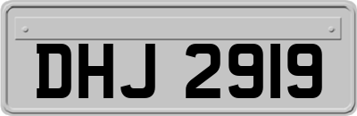 DHJ2919