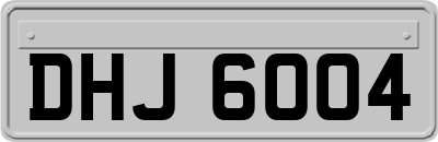 DHJ6004