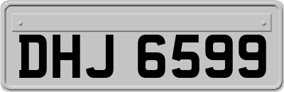 DHJ6599