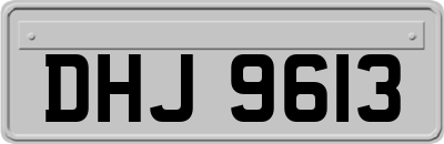 DHJ9613