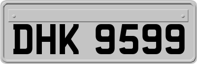 DHK9599