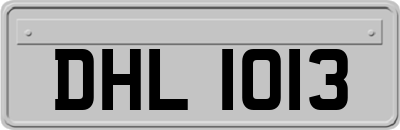 DHL1013