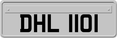 DHL1101