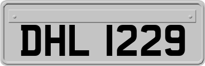 DHL1229