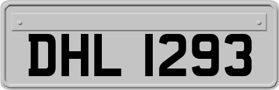 DHL1293