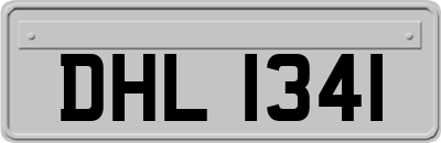 DHL1341