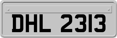 DHL2313