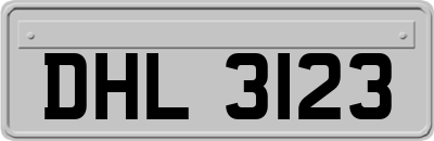 DHL3123