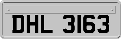 DHL3163