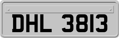 DHL3813