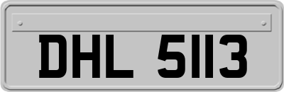 DHL5113