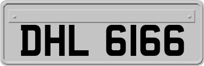 DHL6166