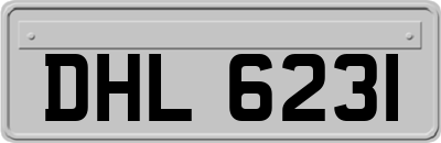 DHL6231