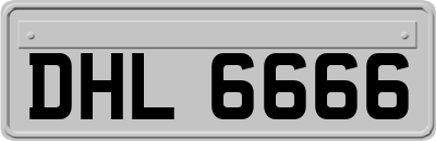 DHL6666