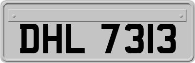 DHL7313