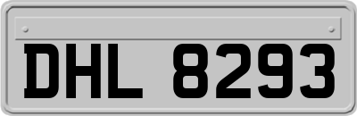 DHL8293