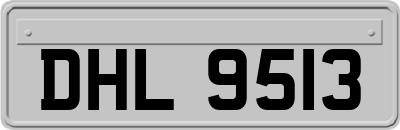 DHL9513