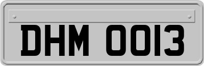 DHM0013