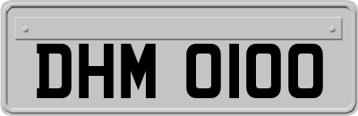 DHM0100