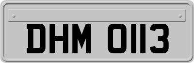 DHM0113