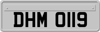 DHM0119