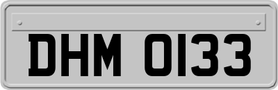 DHM0133