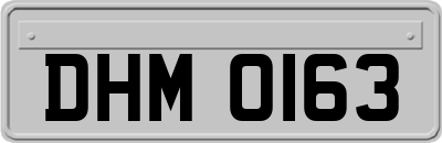 DHM0163