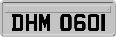 DHM0601
