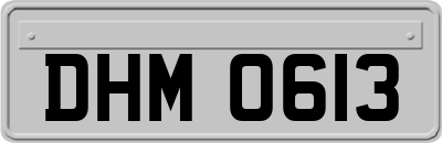 DHM0613
