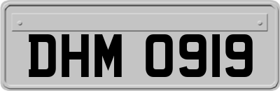 DHM0919