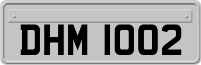 DHM1002