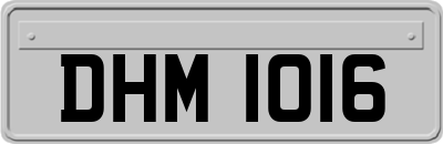 DHM1016