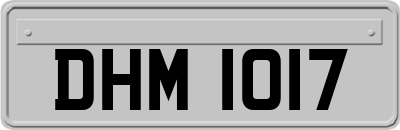 DHM1017