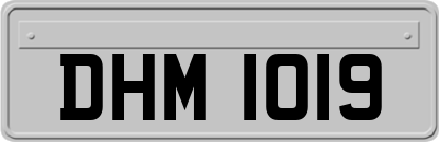DHM1019