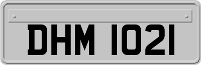 DHM1021