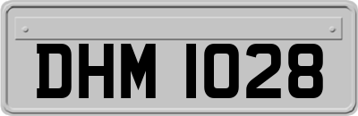 DHM1028