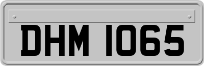 DHM1065