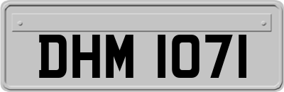 DHM1071
