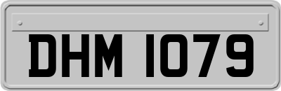 DHM1079